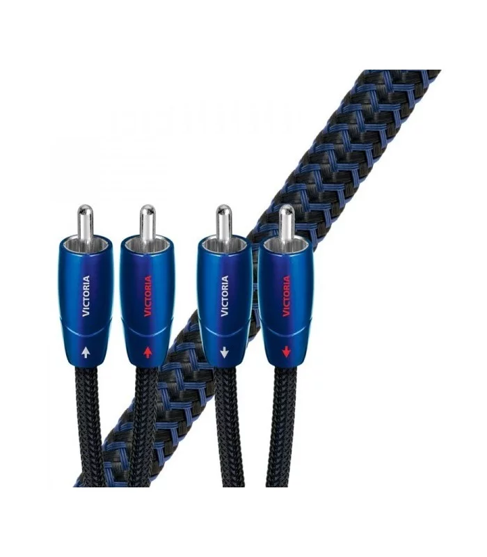 VICTORIA ANALOG  Audioquest Digistore