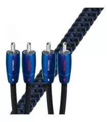 VICTORIA ANALOG  Audioquest Digistore