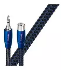 VICTORIA ANALOG  Audioquest Digistore