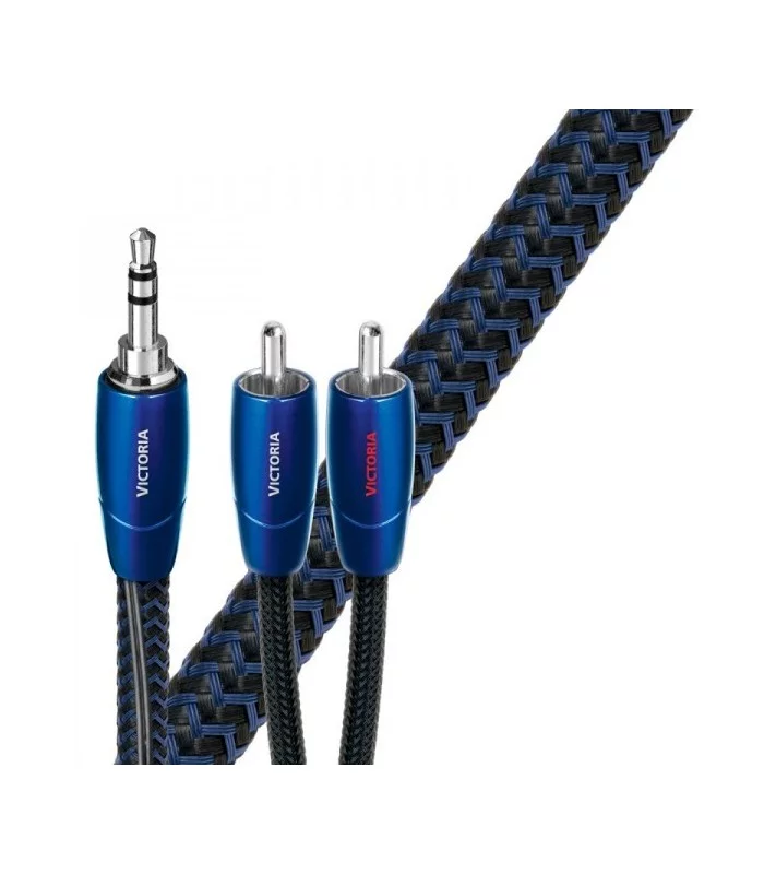 VICTORIA ANALOG  Audioquest Digistore