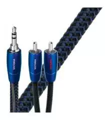 VICTORIA ANALOG  Audioquest Digistore