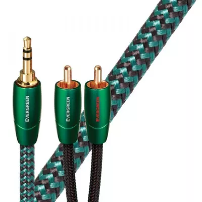 EVERGREEN ANALOG  Audioquest Digistore