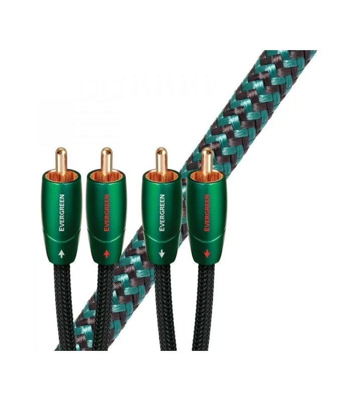 EVERGREEN ANALOG  Audioquest Digistore