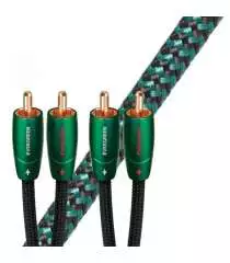 EVERGREEN ANALOG  Audioquest Digistore