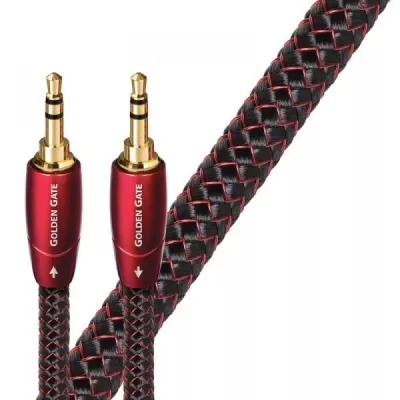 GOLDEN GATE ANALOG  Audioquest Digistore
