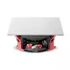 Focal 300ICW6 (pièce)