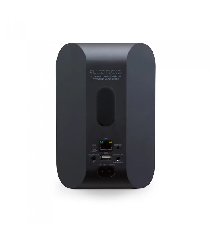 BlueSound Pulse Flex 2i