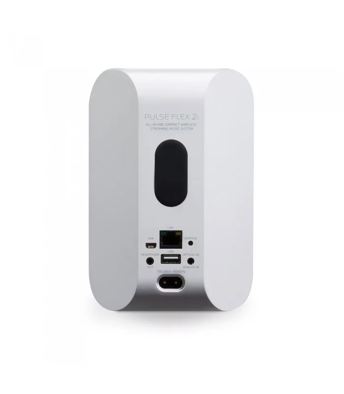 BlueSound Pulse Flex 2i