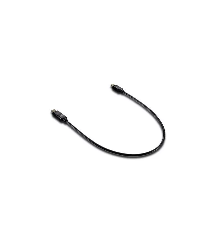 Astell&Kern Câble USB C sur Micro 5-Pin PEE12