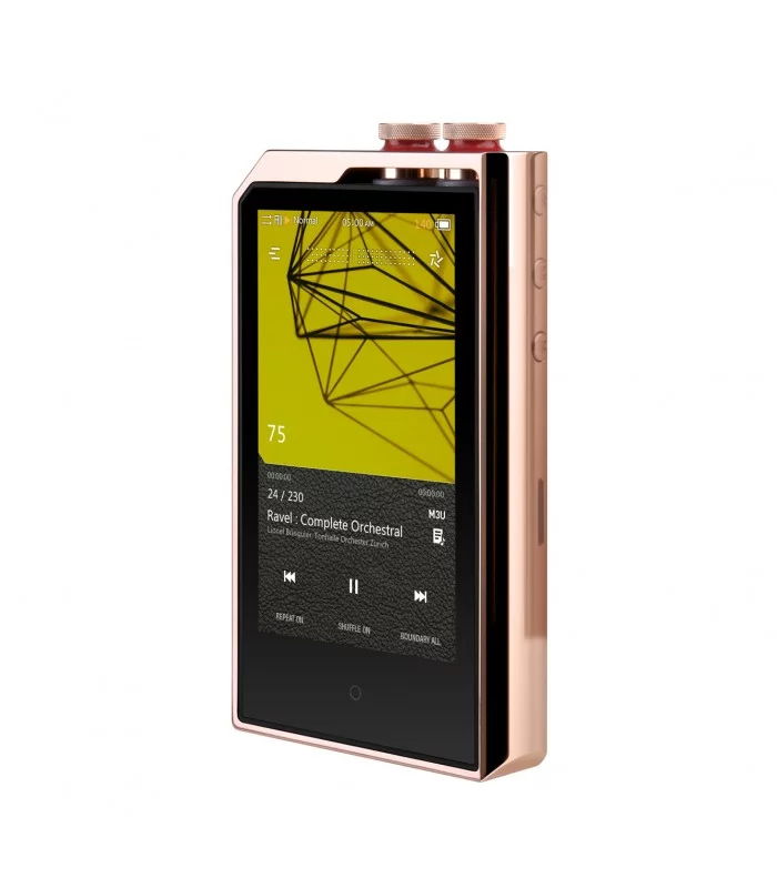 Plenue L 256 Go cuivre