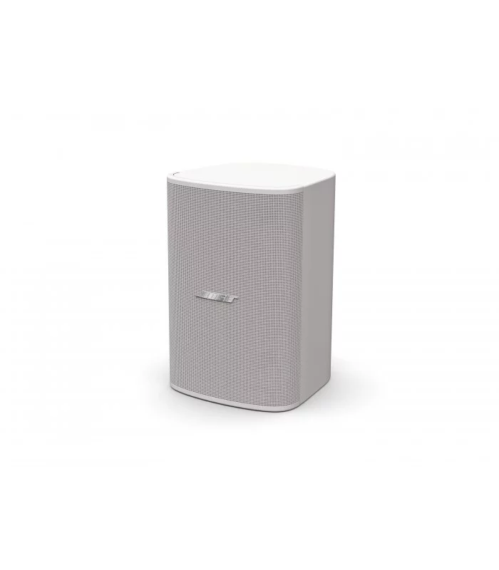 Bose Pro DM5SE