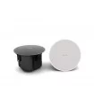 Bose Pro DM5C
