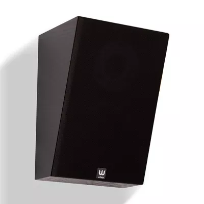 Wilson Raptor X in Geneva | Digistore.ch