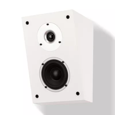 Wilson Raptor X in Geneva | Digistore.ch