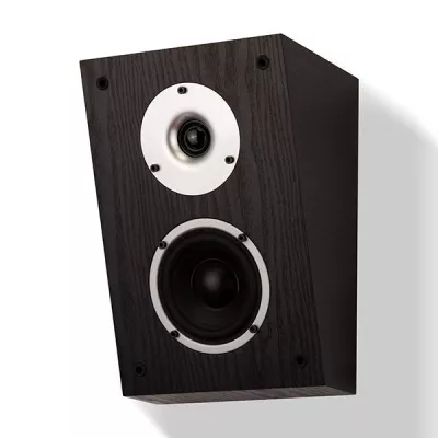 Wilson Raptor X à Genève | Digistore.ch
