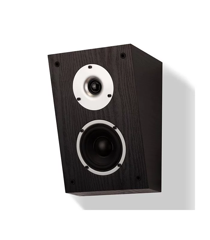 Wilson Raptor X (paire)