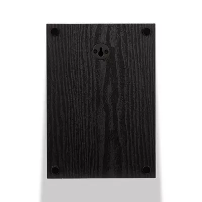 Wilson Raptor X (paire) à Genève | Digistore.ch