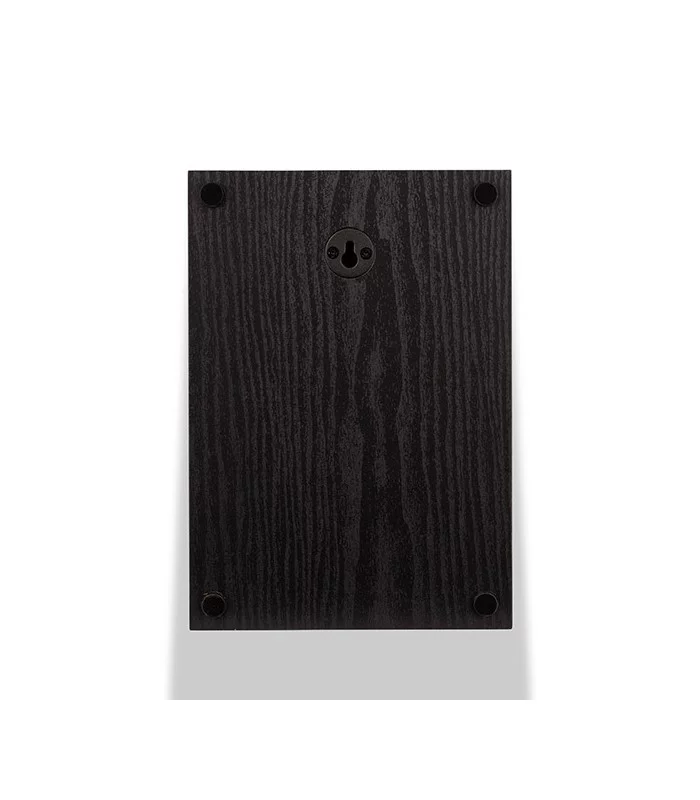 Wilson Raptor X (paire)