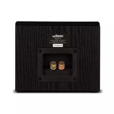 Wilson Raptor X à Genève | Digistore.ch