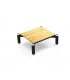 Norstone Spider 1 - 23 cm