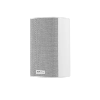 Piega ACE 30 Wireless RX (pièce)