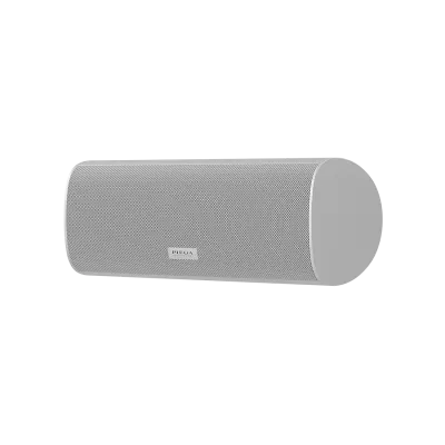 Piega Ace Center Wireless à Genève | Digistore.ch