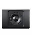 BlueSound Pulse Sub+