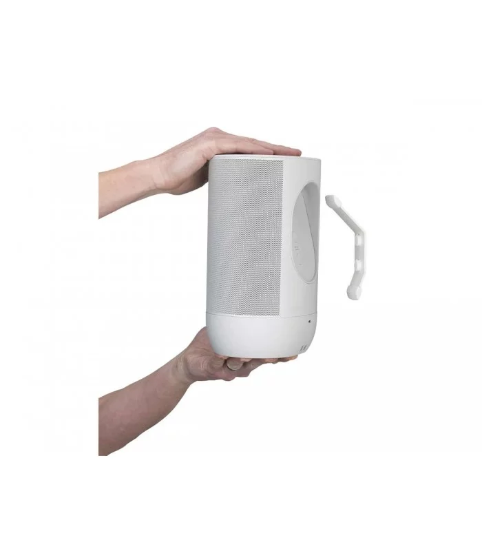 Mountson Support mural Premium pour Sonos Move - Pièce