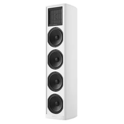 Piega Coax 811 a Ginevra | Digistore.ch