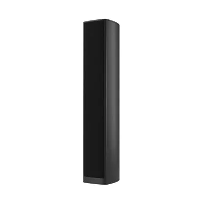 Piega Coax 611 a Ginevra | Digistore.ch