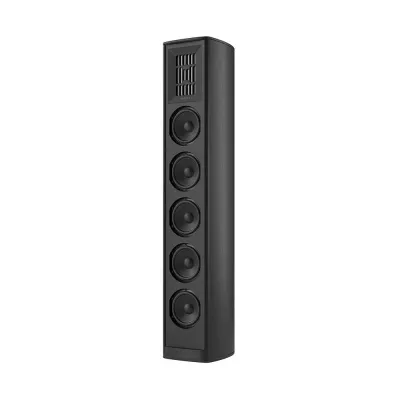 Piega Coax 611 a Ginevra | Digistore.ch