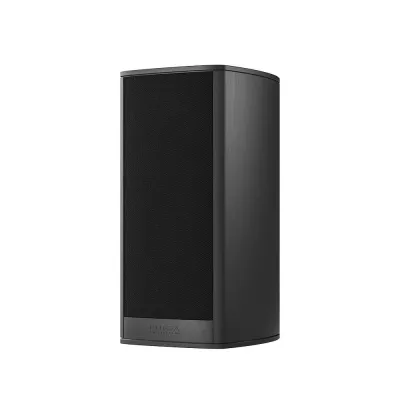 Piega Coax 411 a Ginevra | Digistore.ch