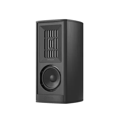 Piega Coax 411 à Genève | Digistore.ch