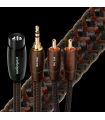 Audioquest Big Sur Analog