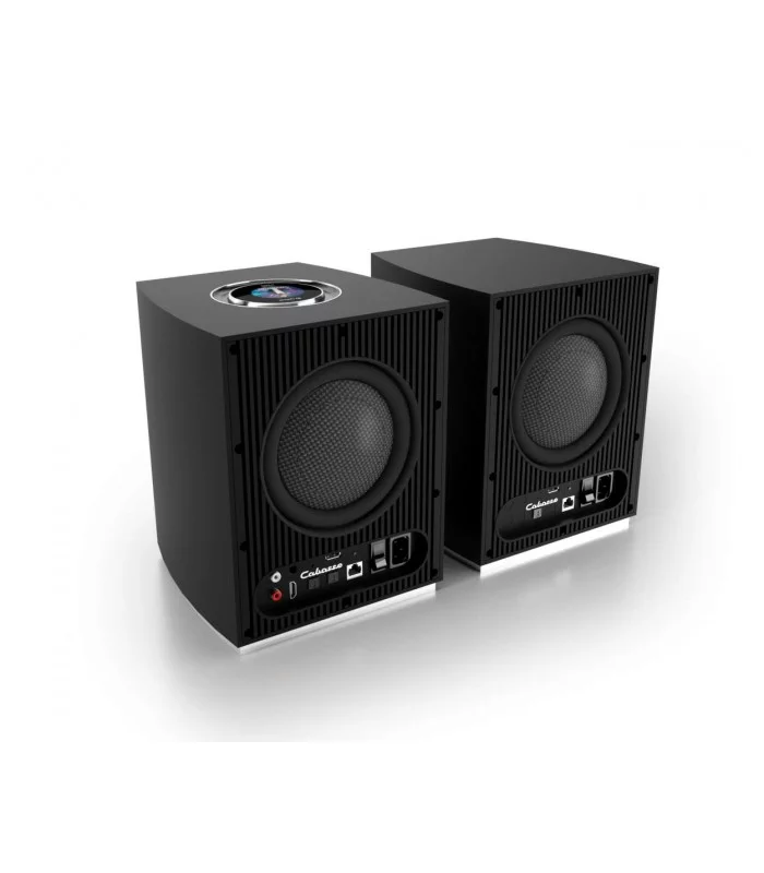 Cabasse Rialto Multiroom Bookshelf Powered Speaker