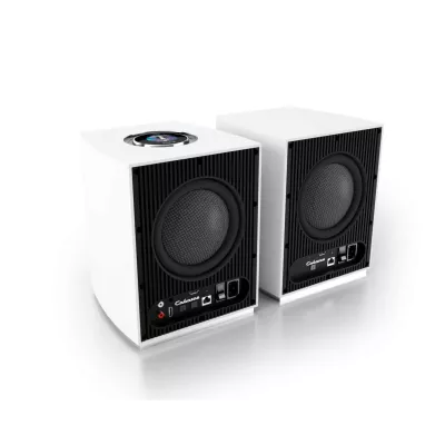 Cabasse Rialto Multiroom Bookshelf Powered Speaker à Genève | Digistore.ch