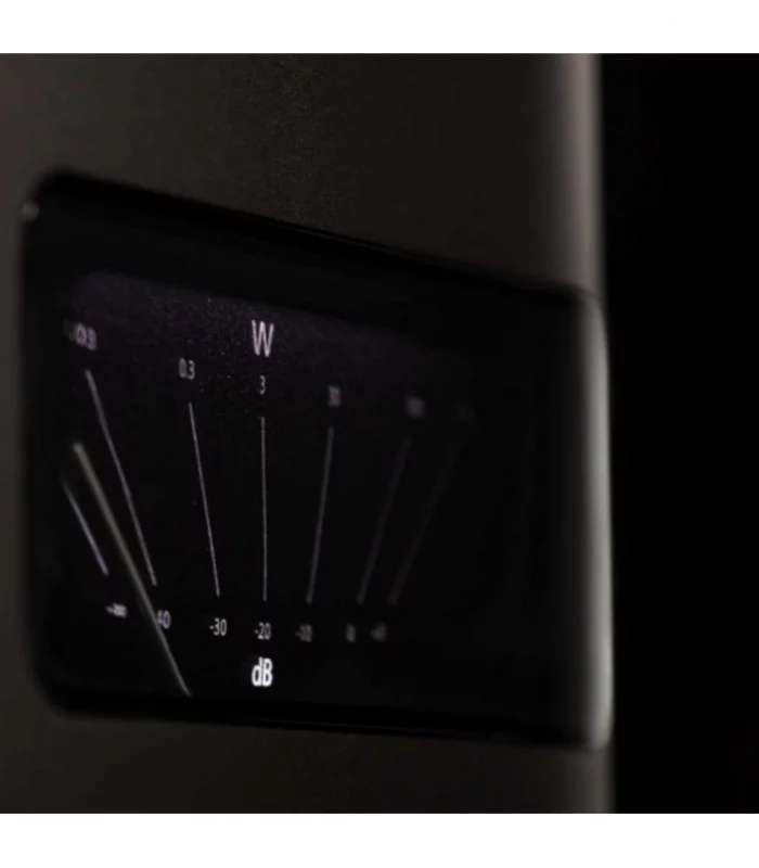 Classe Audio Delta Mono Amplificateur de puissance mono