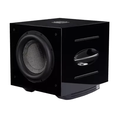 REL Carbon Special Home-Theatre Subwoofer S series à Genève | Digistore.ch