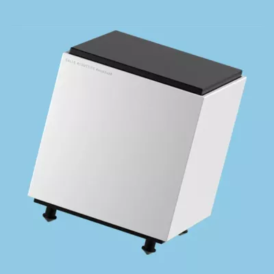 Gallo Acoustics RoomSub 8 Compact Subwoofer à Genève | Digistore.ch