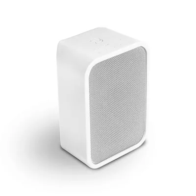 BlueSound Pulse Flex Skin à Genève | Digistore.ch