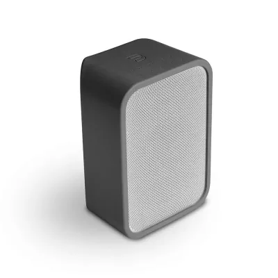 BlueSound Pulse Flex Skin à Genève | Digistore.ch