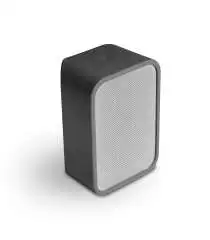 BlueSound Pulse Flex Skin - Gris