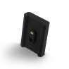 BlueSound BP100 Pulse Flex Battery Pack