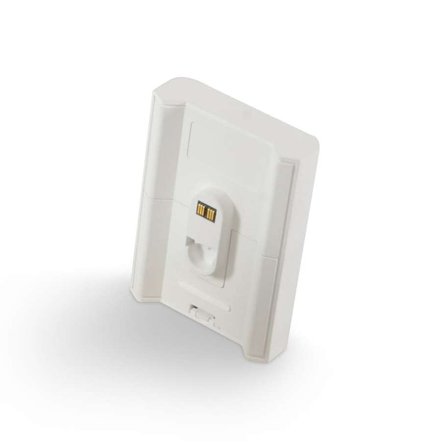 BlueSound BP100 Pulse Flex Battery Pack