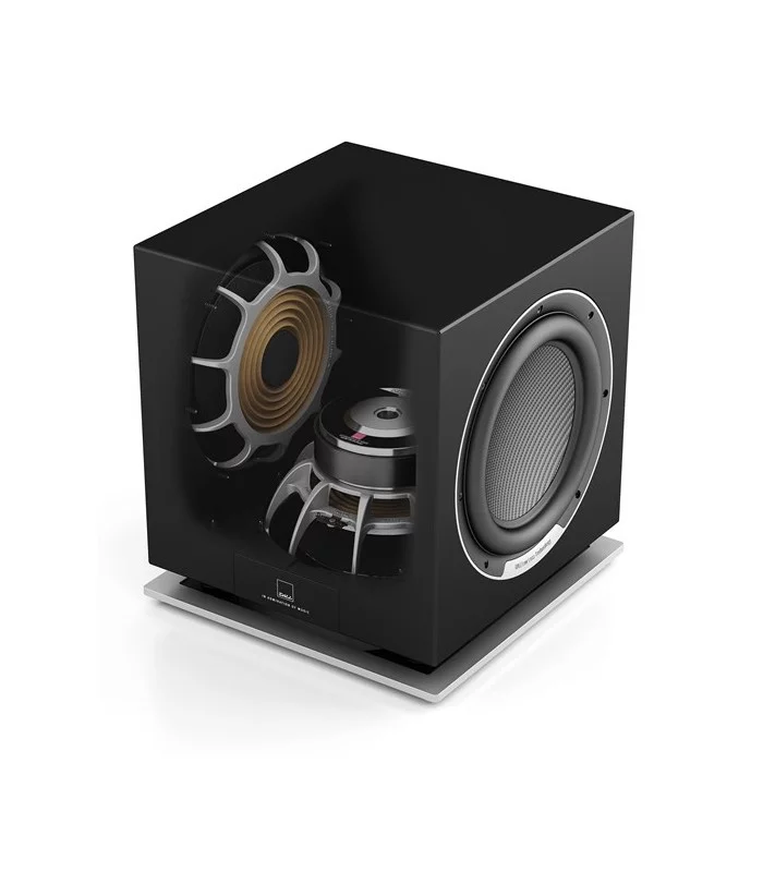 SUB P-10 DSS  Dali Digistore