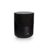 BlueSound Pulse M |Multiroom speaker