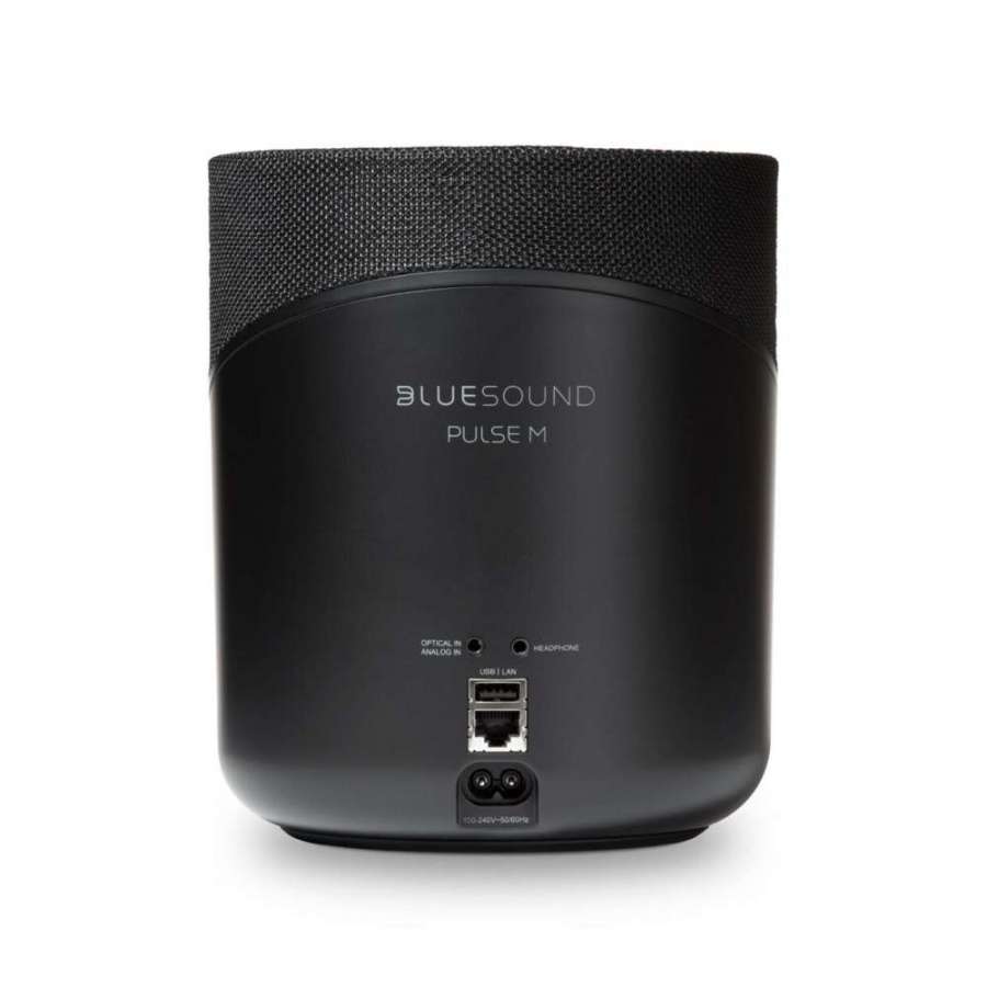 BlueSound Pulse M |Multiroom speaker