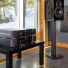 Moon 280D + 250i + Voice 22 | Streamer & DSD DAC + Amplifier  + Speakers