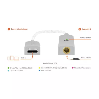 iFi Audio GO link | Amplificateur pour casque et DAC USB portable à Genève | Digistore.ch