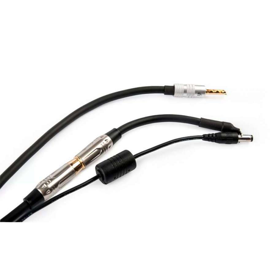 iFi Audio Groundhog+ | Kit de câbles de mise à la terre